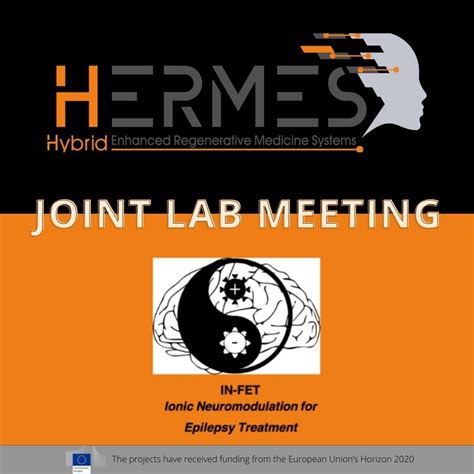 JOINT LAB MEETING: HERMES & IN